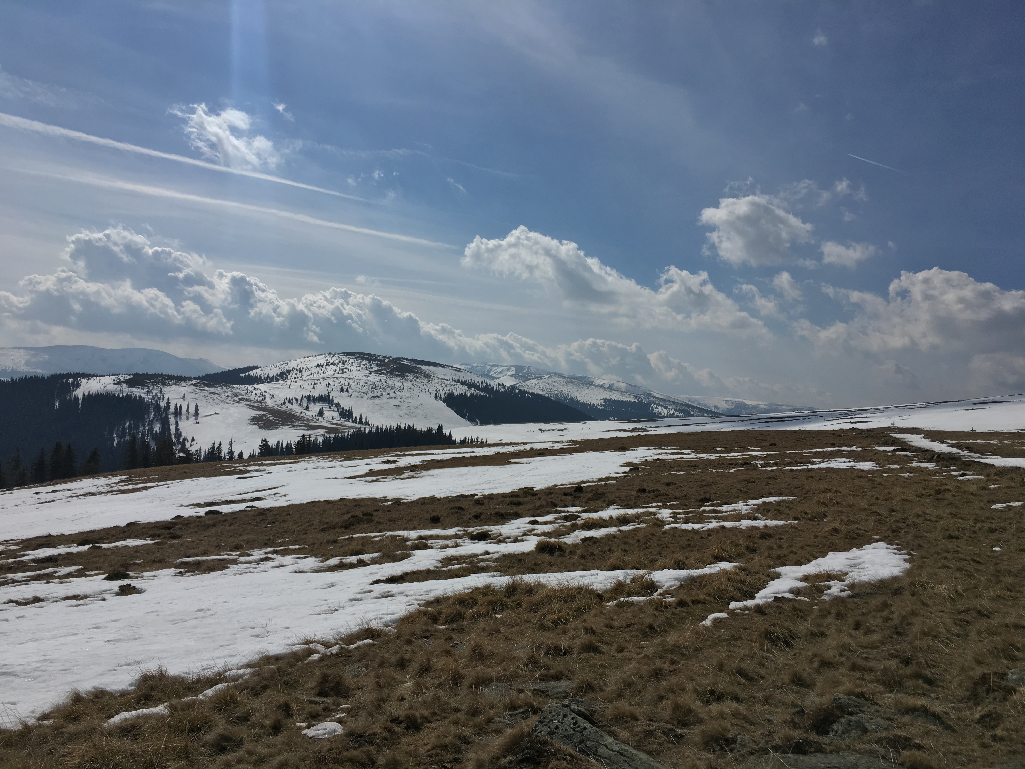 Trekking in Cindrel