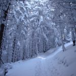 Trasee de iarna din Masivul Piatra Mare