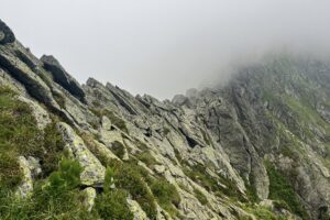 IMG_7608